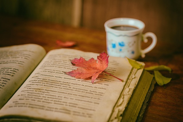 8. Kitap ve Eserlerde Telif Hakları Koruma Yöntemleri